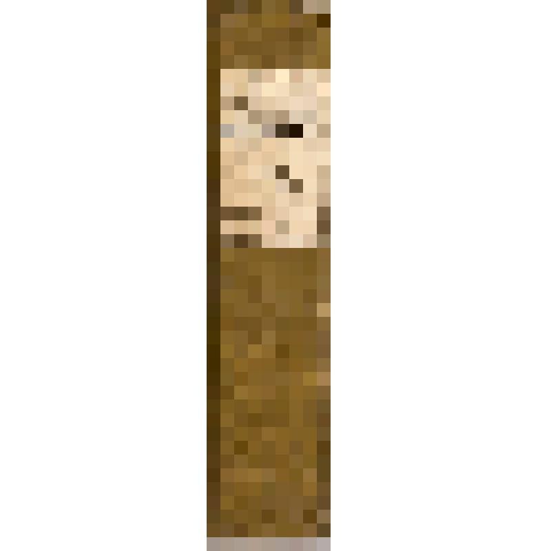 Книга. Nouveau dictionnaire des origines, inventions et découvertes. Tome premiеr