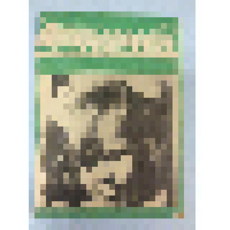 Журнал. "Дальневосточный пограничник" 19, 1994. Еженедельное издание Дальневосточного пограничного округа