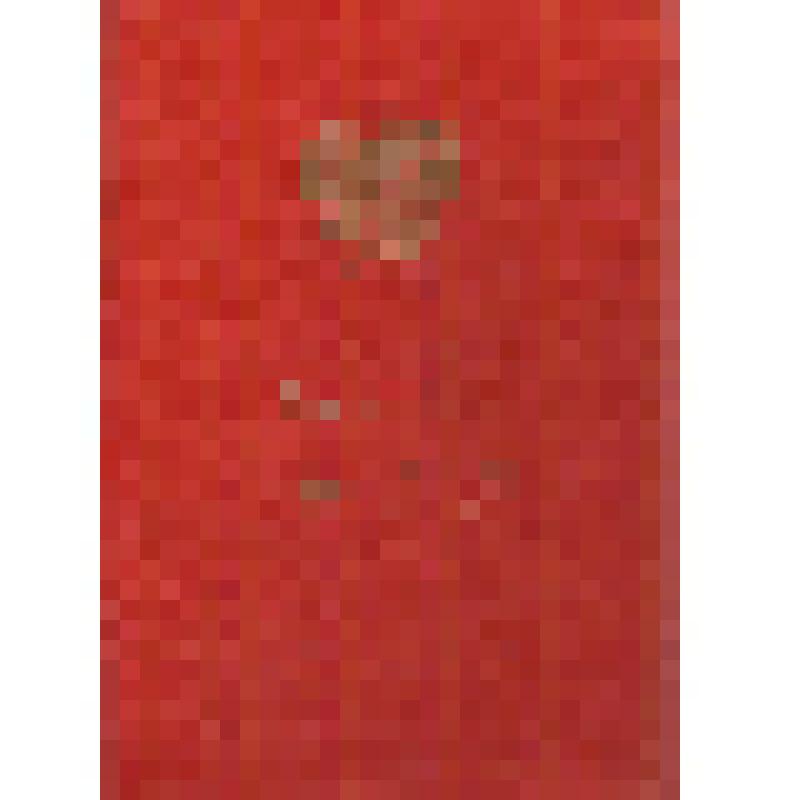 Поздравление 126 ГЦИП