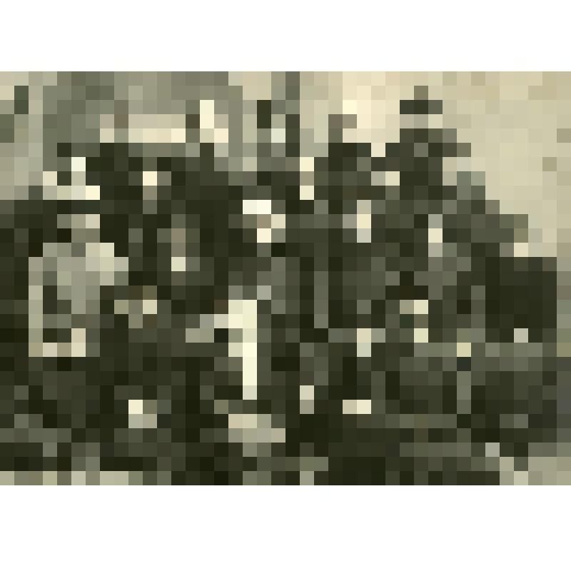 Фотография черно-белая. Групповой портрет
