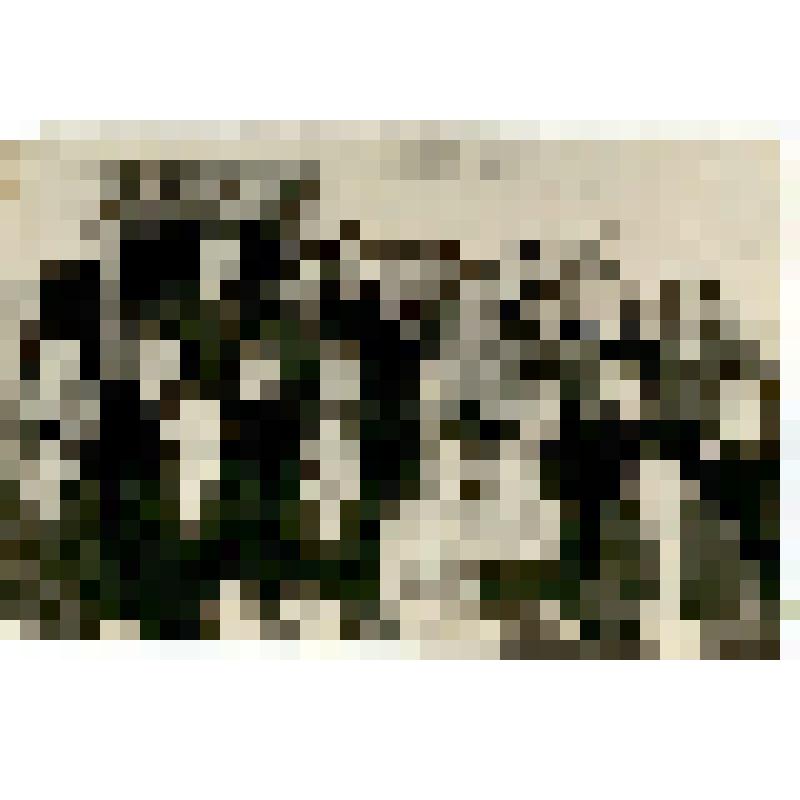 Фотография. Абрамов Николай Васильевич (в 1 ряду 6-й слева) – слесарь саратовского завода зуборезных станков, с молодыми передовыми кадрами предприятия