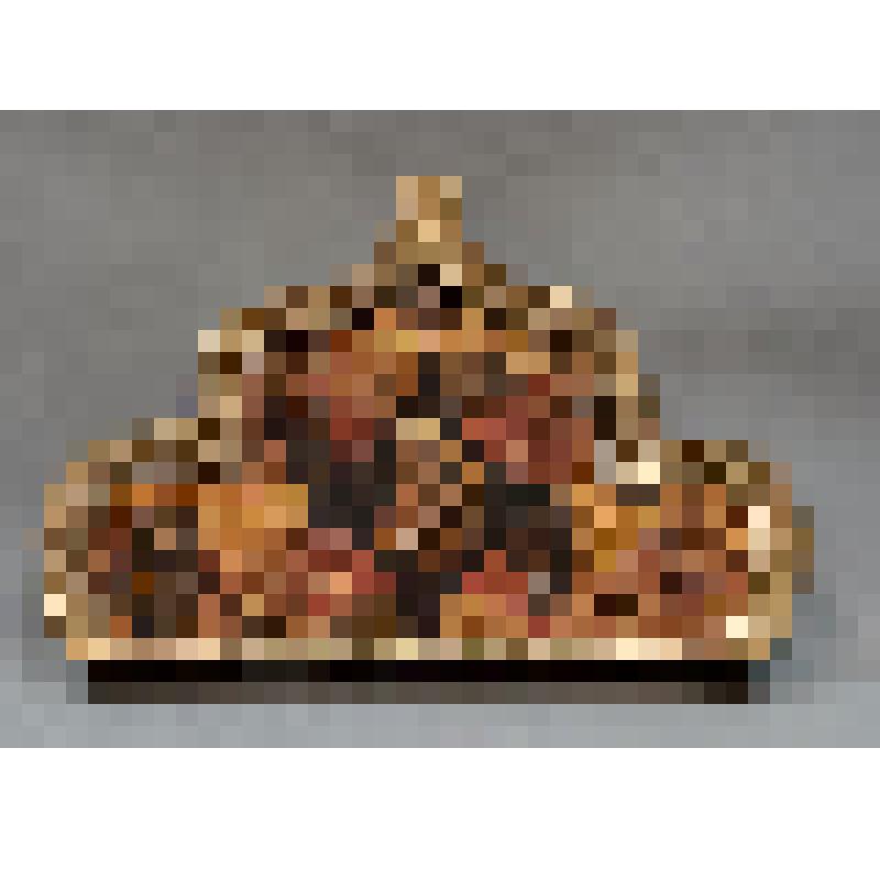 Икона "Неополимая Купина"