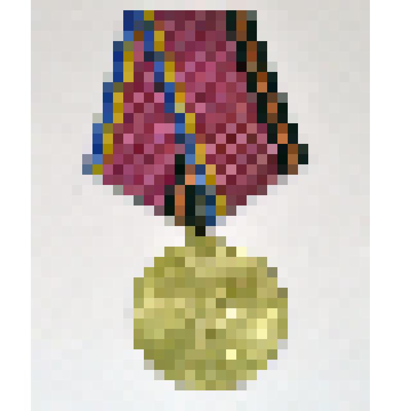 Знак отличия президента Украины. Медаль юбилейная. 60 лет Освобождения Украины от фашистских захватчиков. Курылёва Н.И, ветерана Великой Отечественной войны