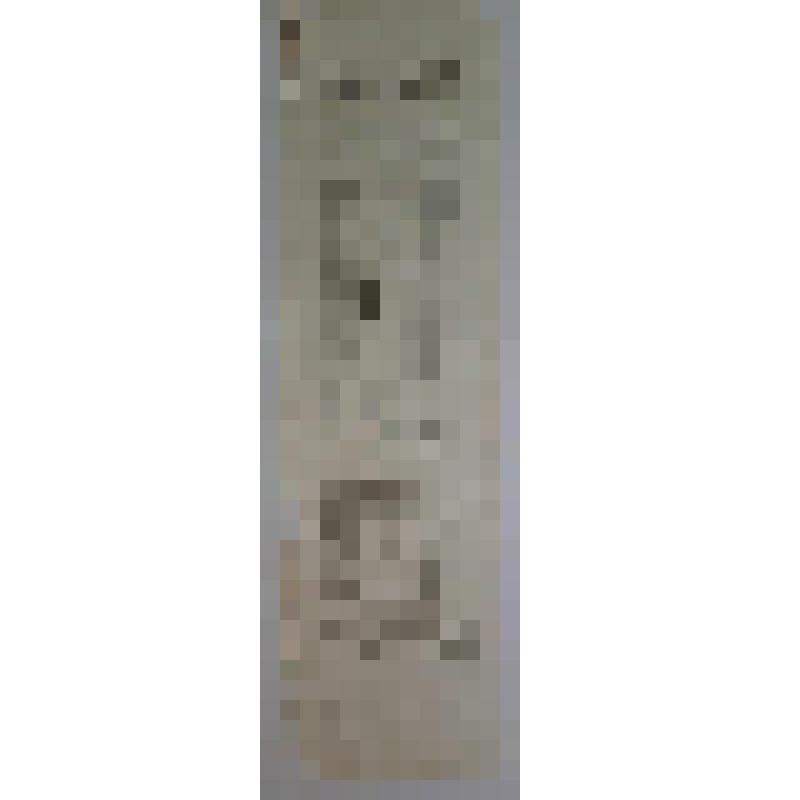 Программа. "Разбойник Чуркин"; "Лев Гурыч Синичкин, или Провинциальная дебютантка". Астрахань, Большой театр Н.И. Плотникова; Антреприза, Труппа артистов под управлением П.М. Медведева