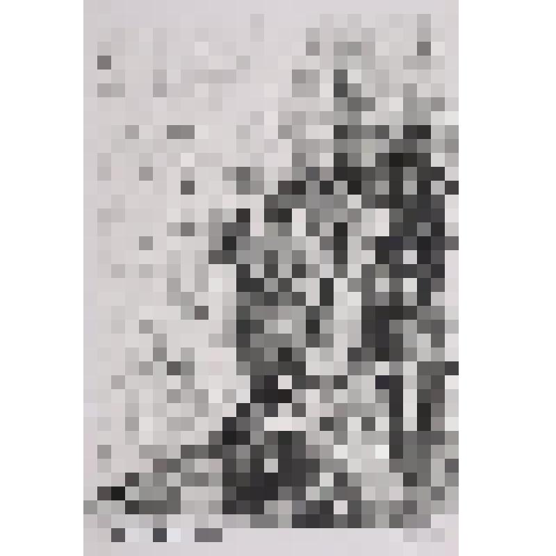 Портрет Б. Шергина в интерьере. Гравюра