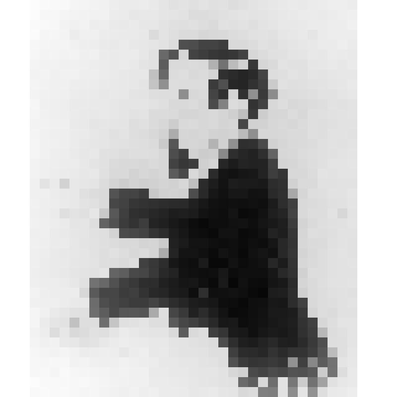 Негатив. Дебюсси К. 1862-1918 гг.
Карикатура на композитора художника Ж.Биль