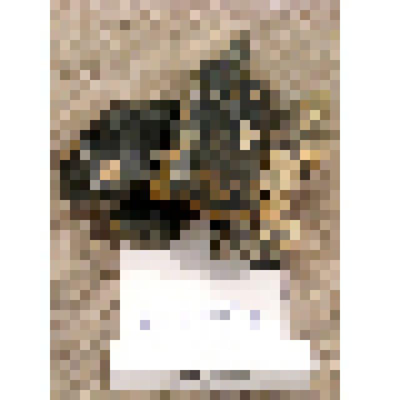 Морион (обломки кристаллов)