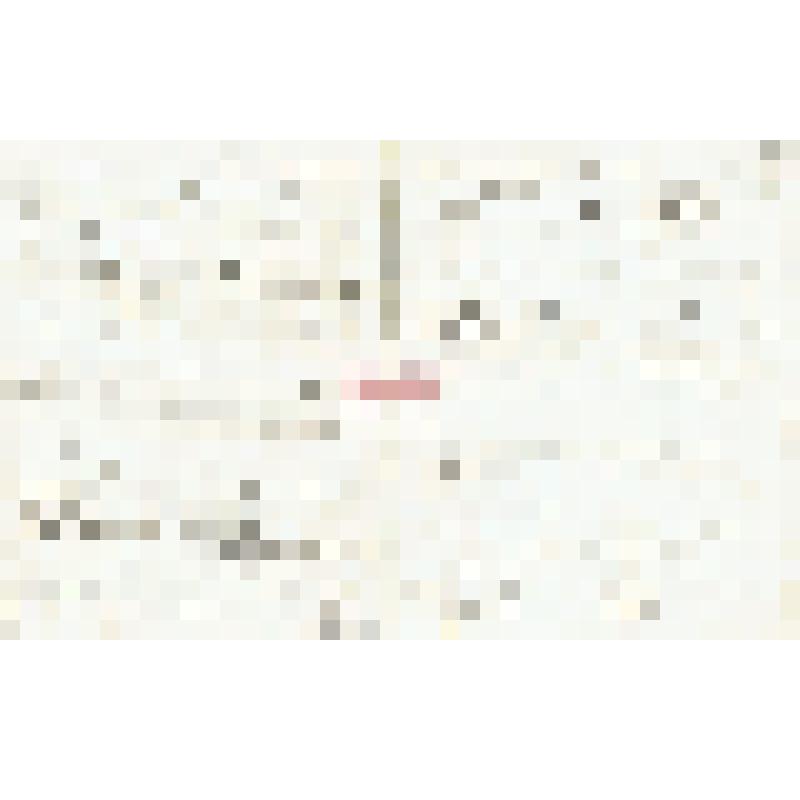 Письмо А. А. Макаренко Мартьянову с просьбой          отредактировать его материалы «Народная медицина
Ужурской волости Ачинского округа», дать свои советы и рекомендации