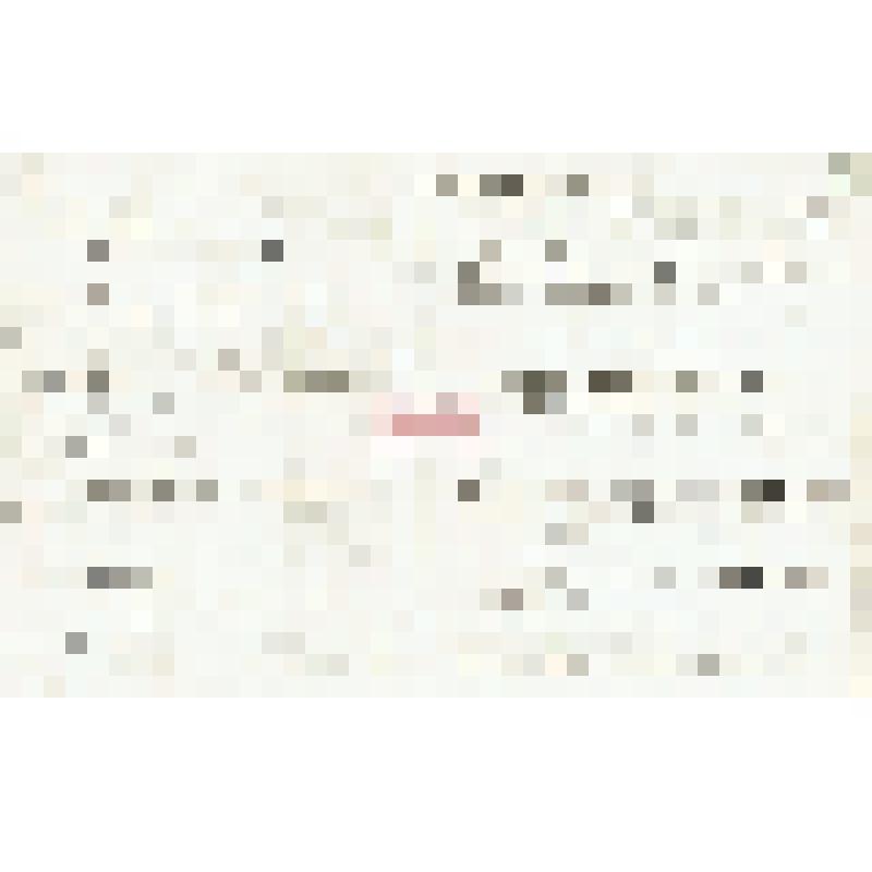 Письмо А. А. Макаренко Мартьянову с просьбой          отредактировать его материалы «Народная медицина
Ужурской волости Ачинского округа», дать свои советы и рекомендации