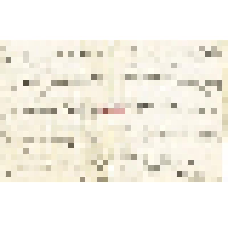 Письмо А. А. Макаренко Мартьянову с просьбой          отредактировать его материалы «Народная медицина
Ужурской волости Ачинского округа», дать свои советы и рекомендации