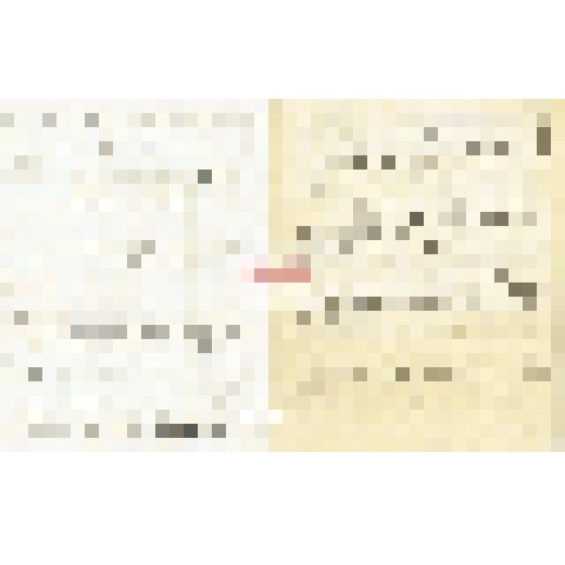 Письмо А. А. Макаренко Мартьянову с просьбой          отредактировать его материалы «Народная медицина
Ужурской волости Ачинского округа», дать свои советы и рекомендации