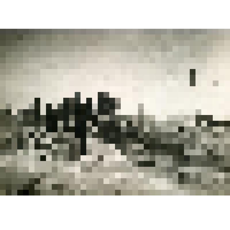 Фото. Подъём льда на гору