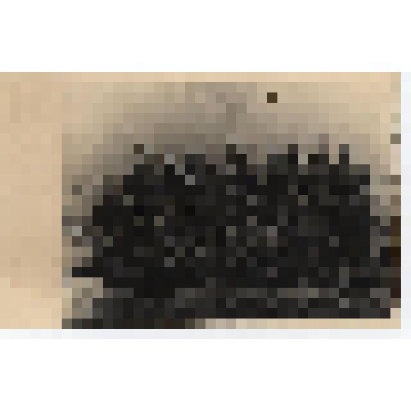 Фотография. Группа советских солдат в Австрии