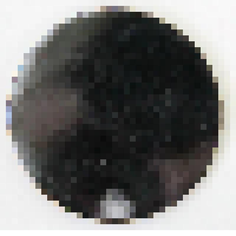 Медали памятные. Медаль "Тувинская национальная борьба Хуреш"