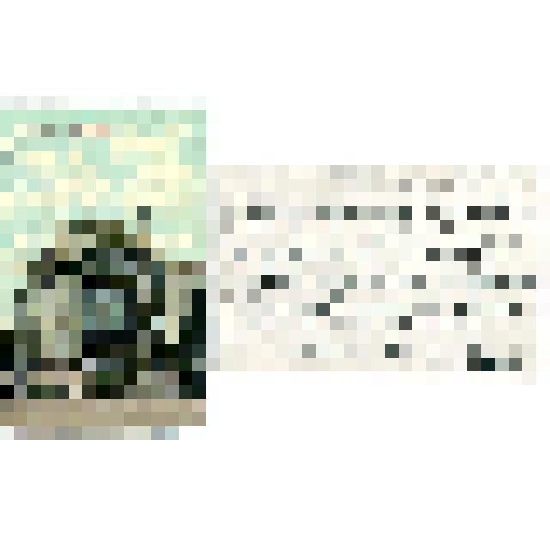 "С.-Петербург. Дом Елисеева", открытка