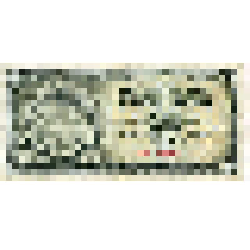 Банкнота Народного банка Югославии 500 динар