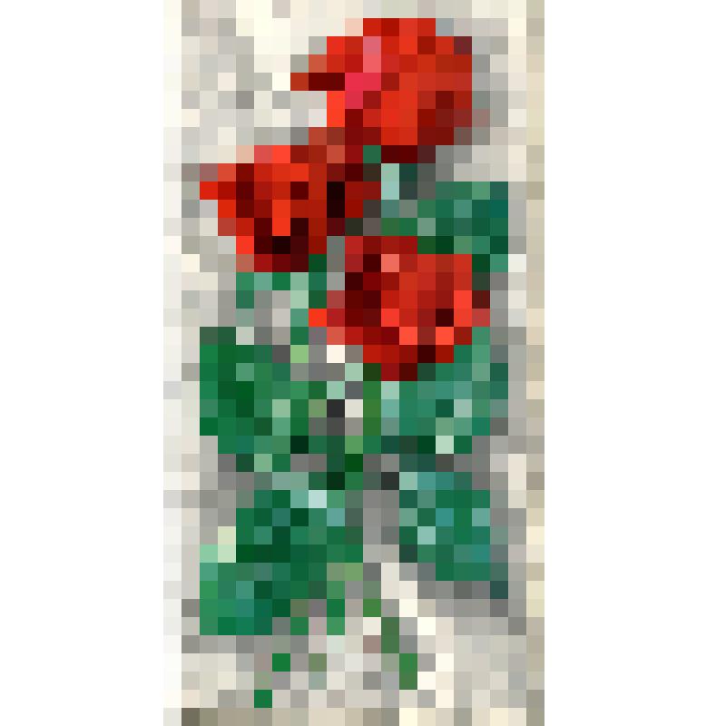 Поздравительная открытка