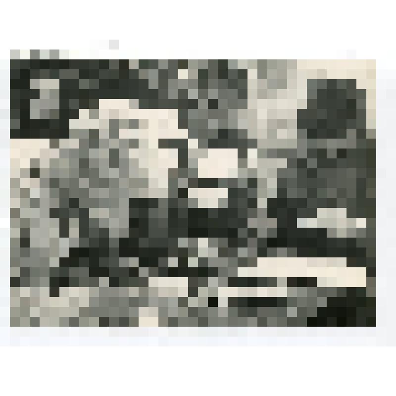 Фото групповое. Соревнования на туристическом слете