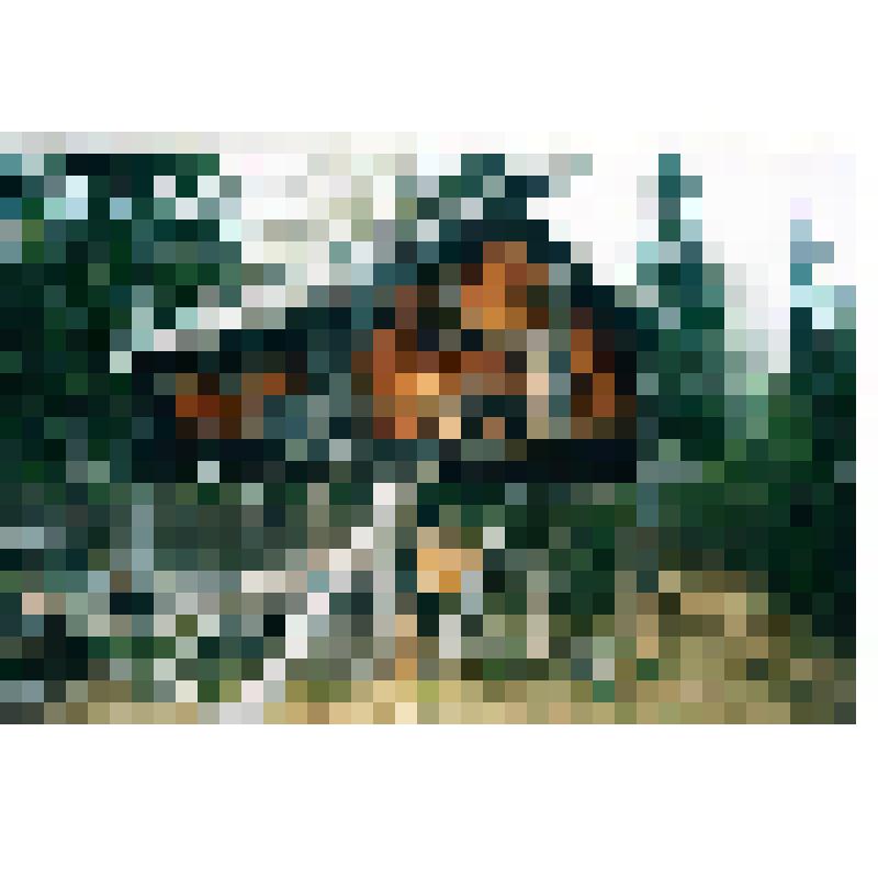 Фотография цветная "Лабаз на ножках в деревне Тильтим"