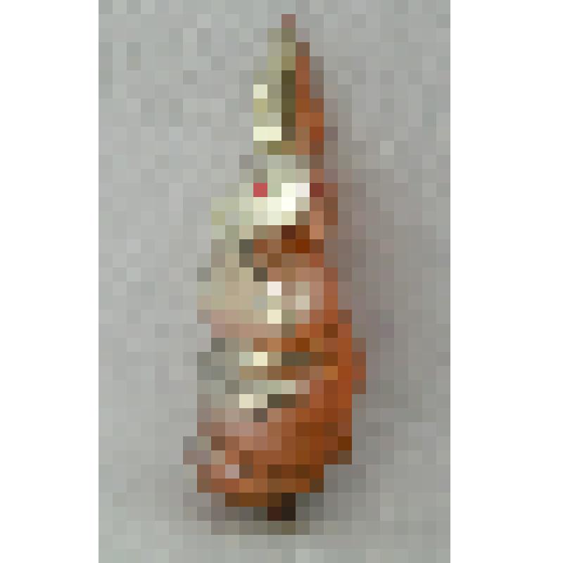 Игрушка елочная «Заяц»