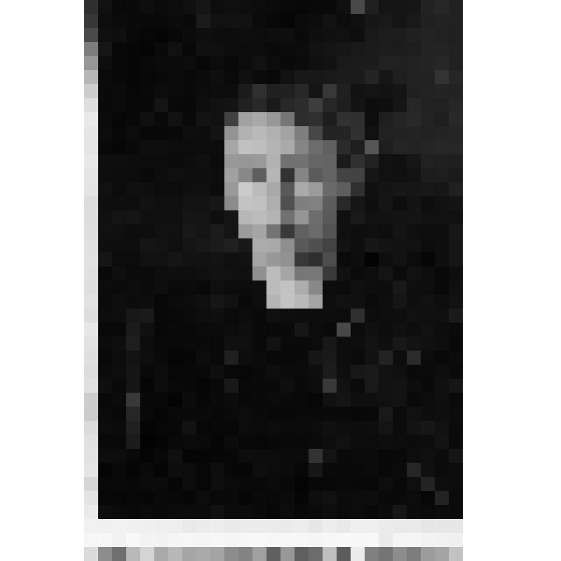 Фото (погрудное). Сидорова Нина Павловна,