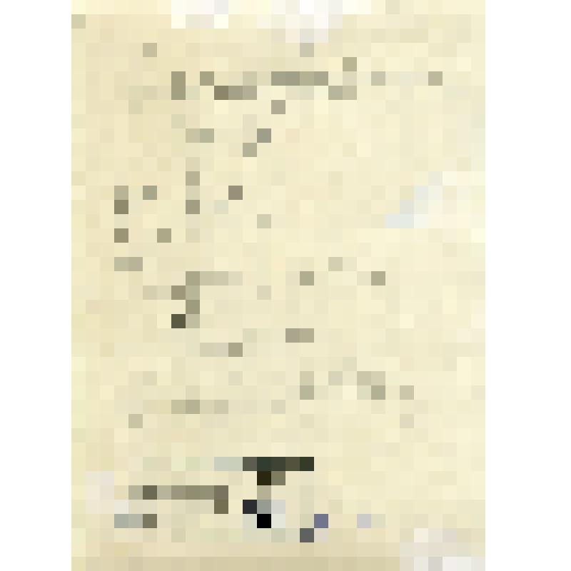 Фото (погрудное). Сидорова Нина Павловна,