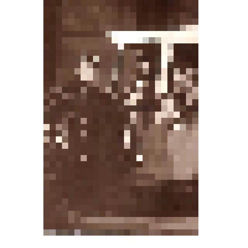 Фотография. Радин и Кторов в ролях, 1928. В поезде сидят Кторов и дама, протягивающая сигарету, стоящему с зажигалкой жандарму. "Инженер Мерц". Москва, Театр бывший Корш