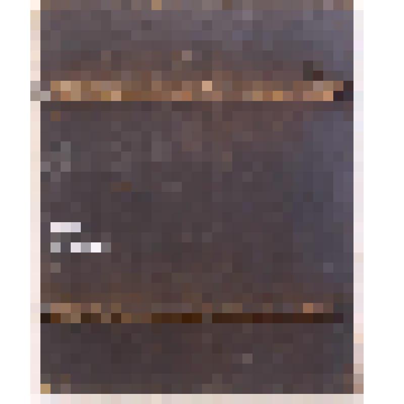 Христос в темнице." Полуночный Спас», ( "Се человек"; "Се жених"). Икона