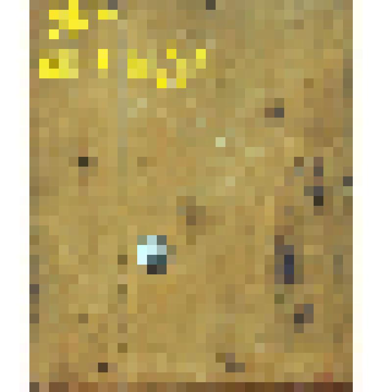 Владимирская Богоматерь. Икона