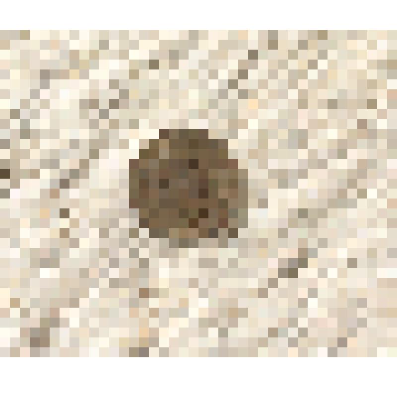 Монета 2 копейки 1906 года