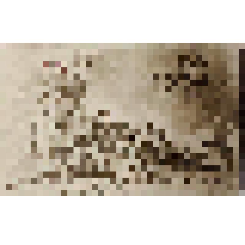 Открытка. Поздравительная, пасхальная, сатирическая