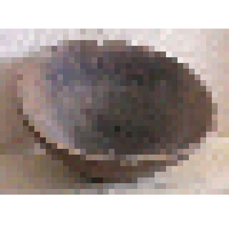 Шорская чашка