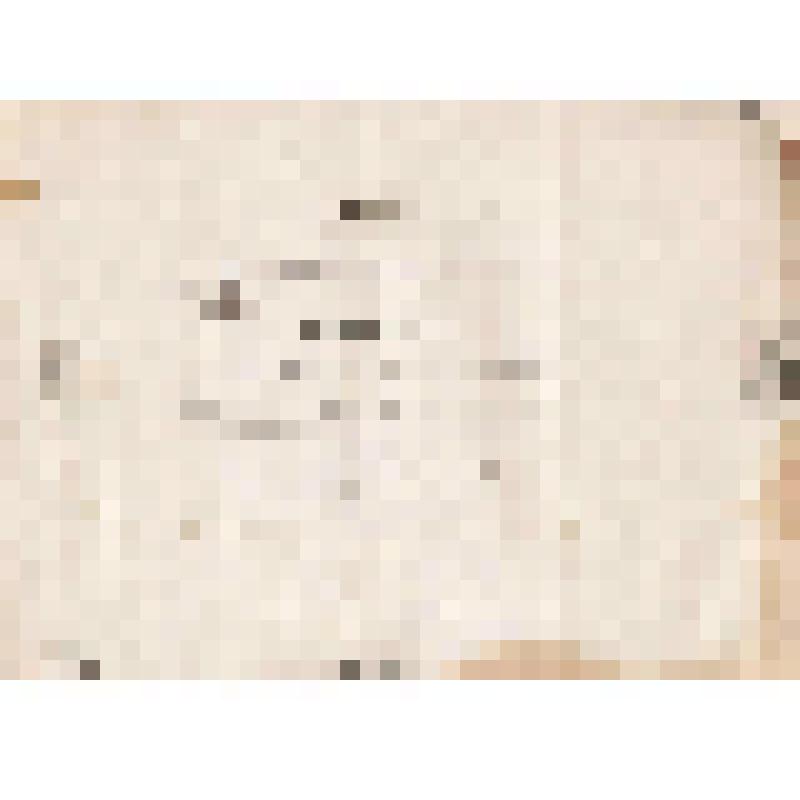 Телеграмма № 114 в г. Чердынь В. Н.Алину от Толкушкина из г. Перми, 04.09.1884 г