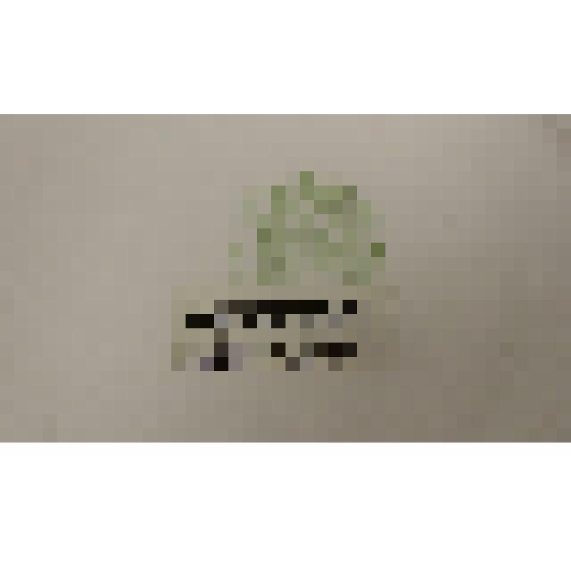 Тарелка сувенирная. "Гербы греческих городов"