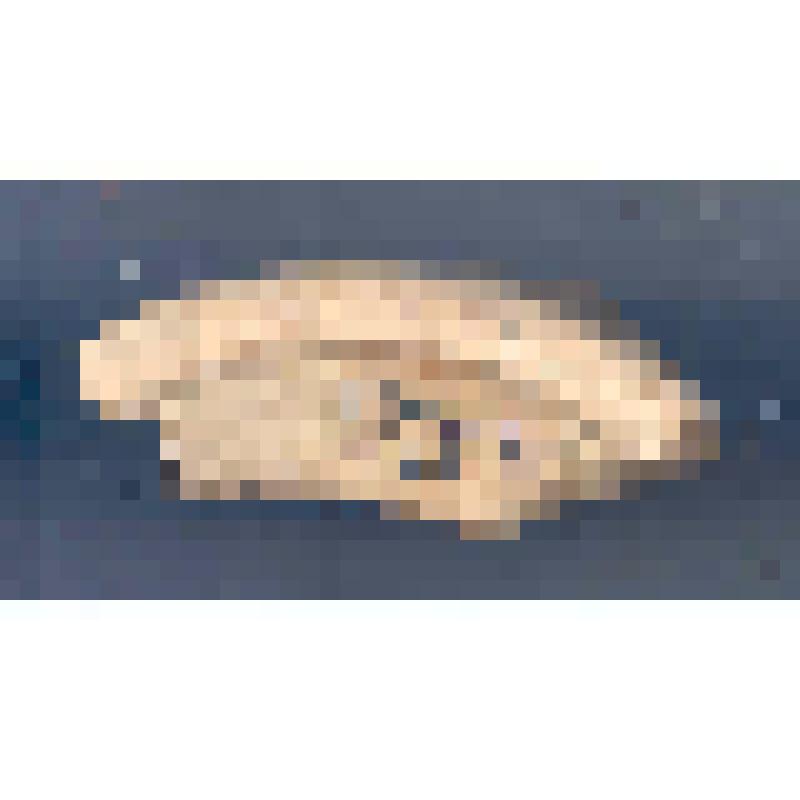 Сосуд (фрагмент)