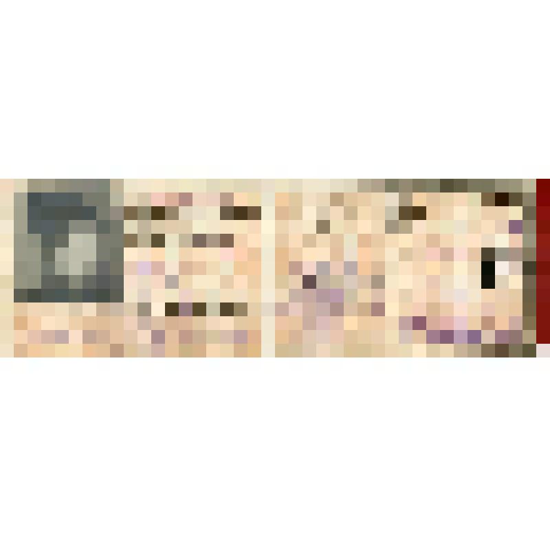 Билет № 1663 А.Е. Бадаева, члена Московского Совета рабочих, крестьянских и красноармейских депутатов от Цетросоюза, и билет №1021 А.Е. Бадаева, члена фракции ВКП(б) Моссовета