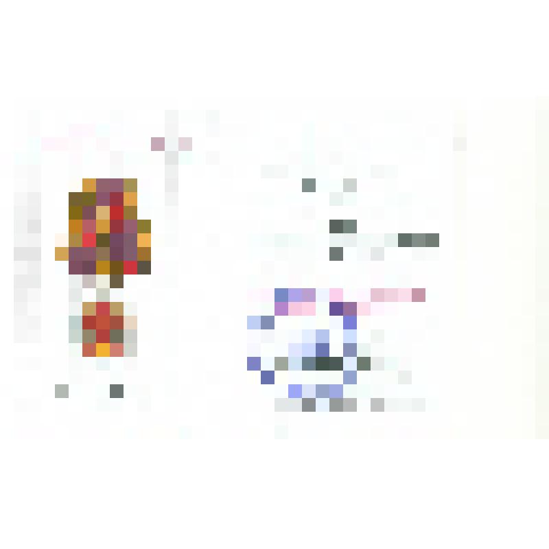 Удостоверение Савченко Э.Я. к юбилейной медали "70 лет Победы в Великой Отечественной войне 1941-1945 гг." А№0276884