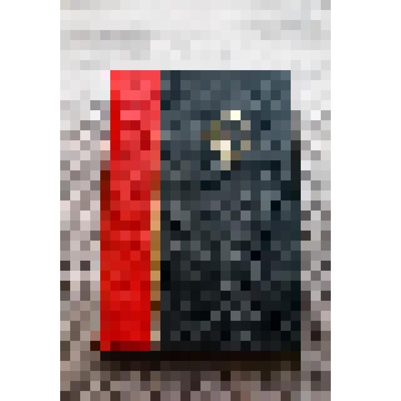 Книга. Большая советская энциклопедия. Том XХI.  Дейли-Джут.  Москва. 16-я типография УПП ОГИЗ. Государственное словарно-энциклопедическое издательство "Советская энциклопедия". 1931 г