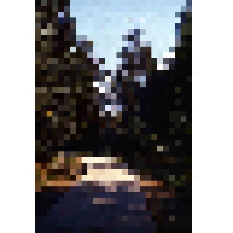 Диапозитив. Лесопарк. (327)