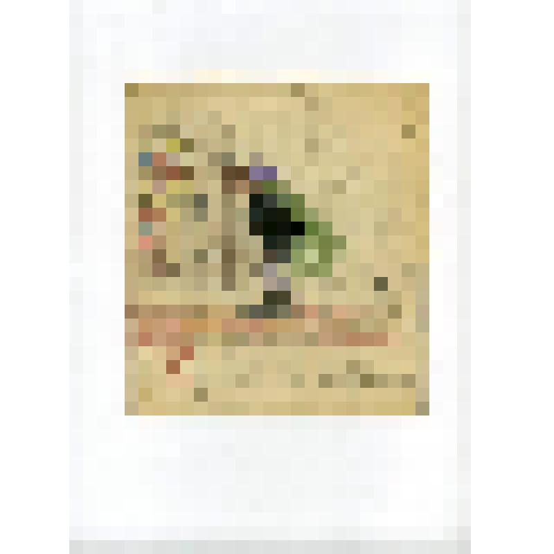 Рисованная графика. "Конюх Витторио..." (№11)