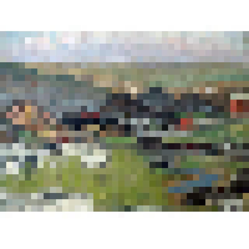 Этюд. Осинники