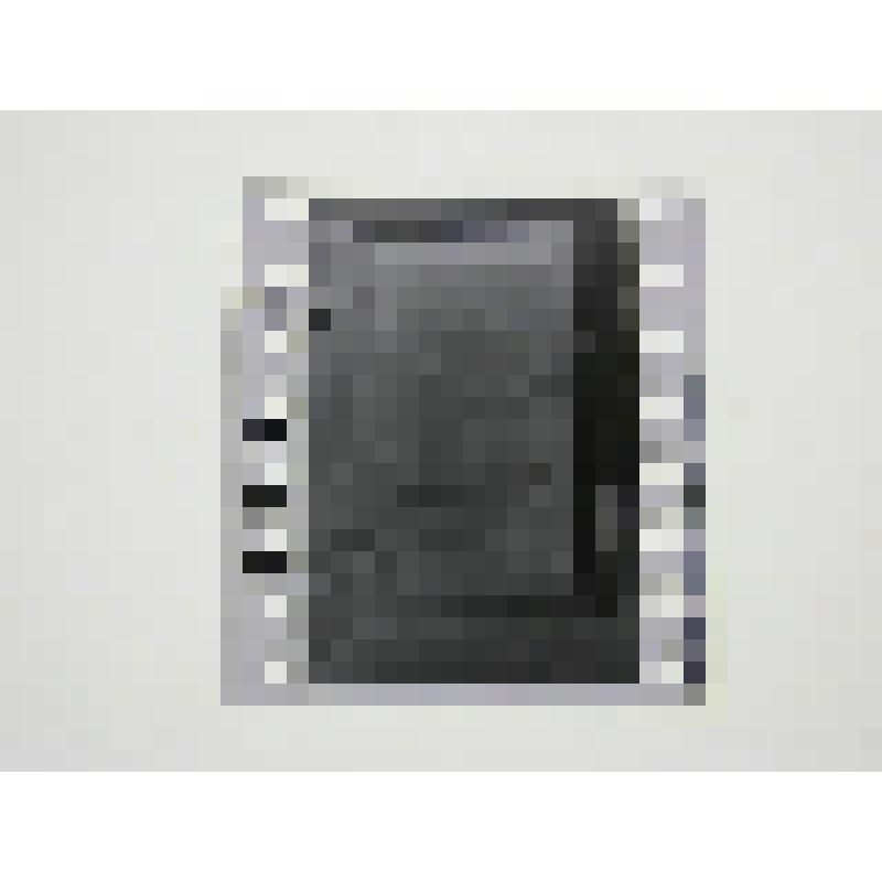 Хозяйственная постройка. Усадьба Мураново. Вторя половина XIX в. Московская обл., Пушкинский р-н, Мураново. Хозяйственная постройка. Усадьба Мураново.Вторая половина XIX в. Гладилка. Южный фасад. Фрагмент. Внутренняя дверь