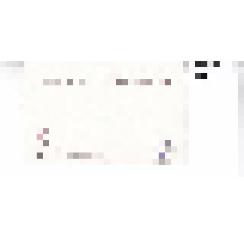 открытка цветная. Репродукция портрета  Л.Н. Толстого художника Жан Стыка