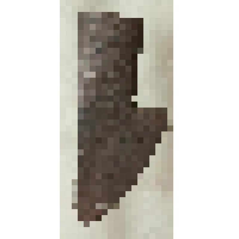 Сошник перовой левый