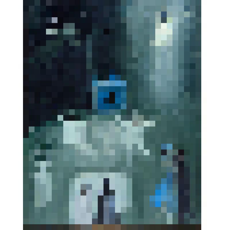 Картина "Сад радости и печали"