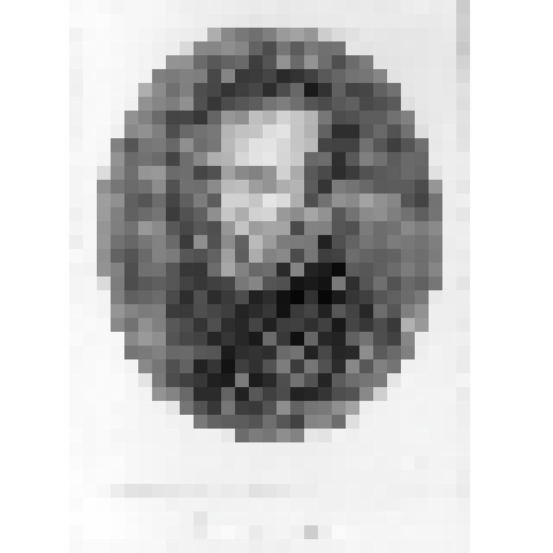 Негатив. Микельанджело Буонаротти.
1475-1564 гг.
С гравюры Heischmann