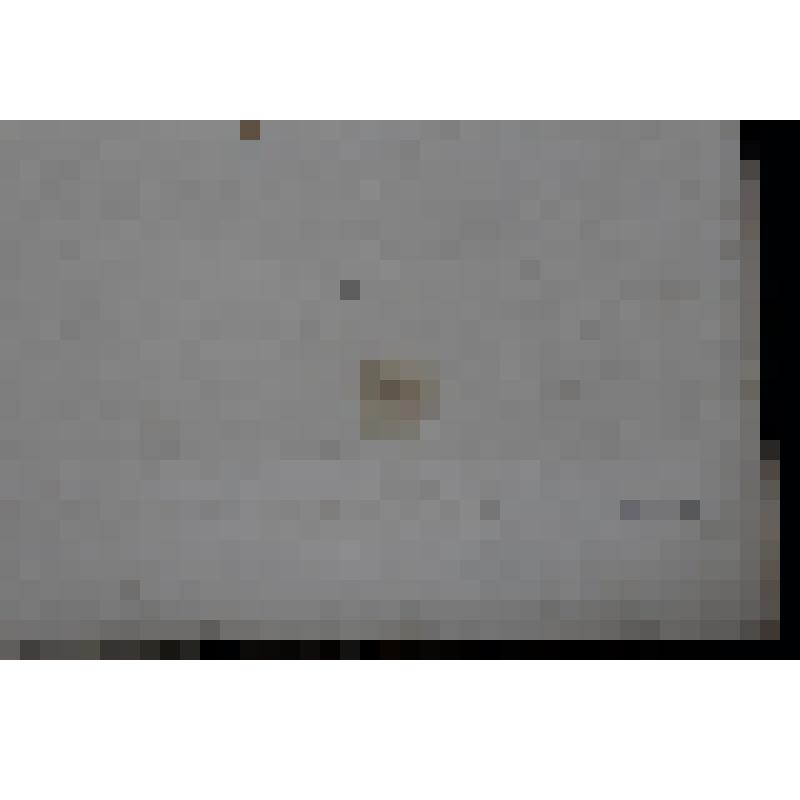 Гравюра. Русский худ. листок В.Тимма №23. 1856."Приезд Государя императора в г.Ригу. "