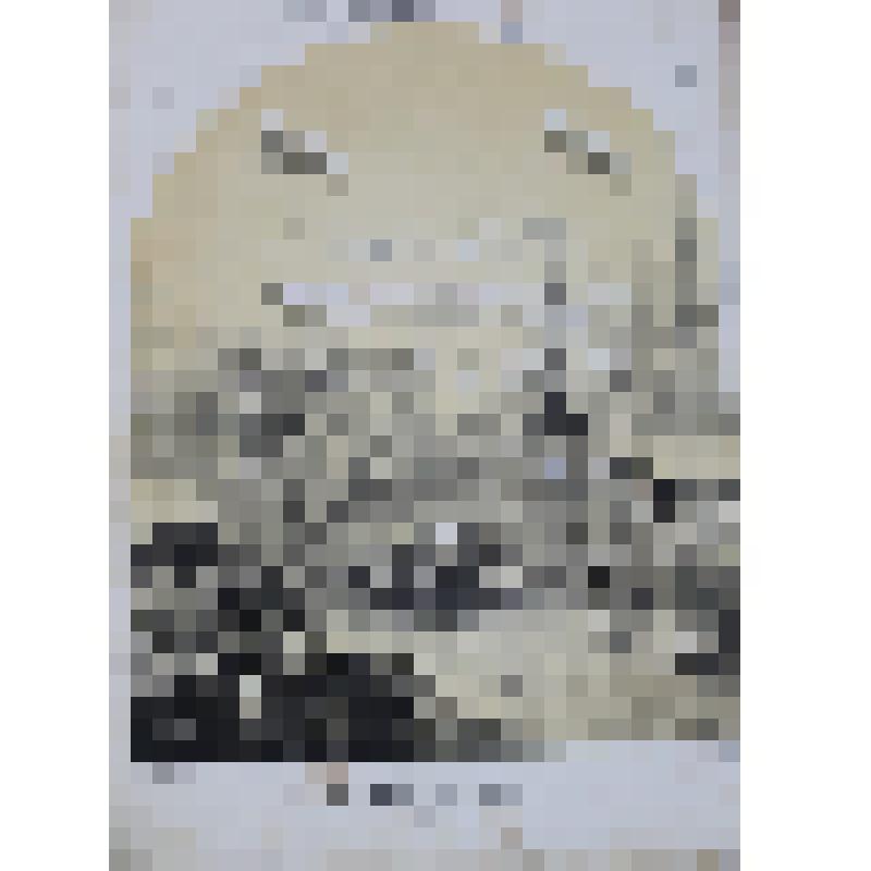 Гравюра. Русский худ. листок В.Тимма №23. 1856."Приезд Государя императора в г.Ригу. "