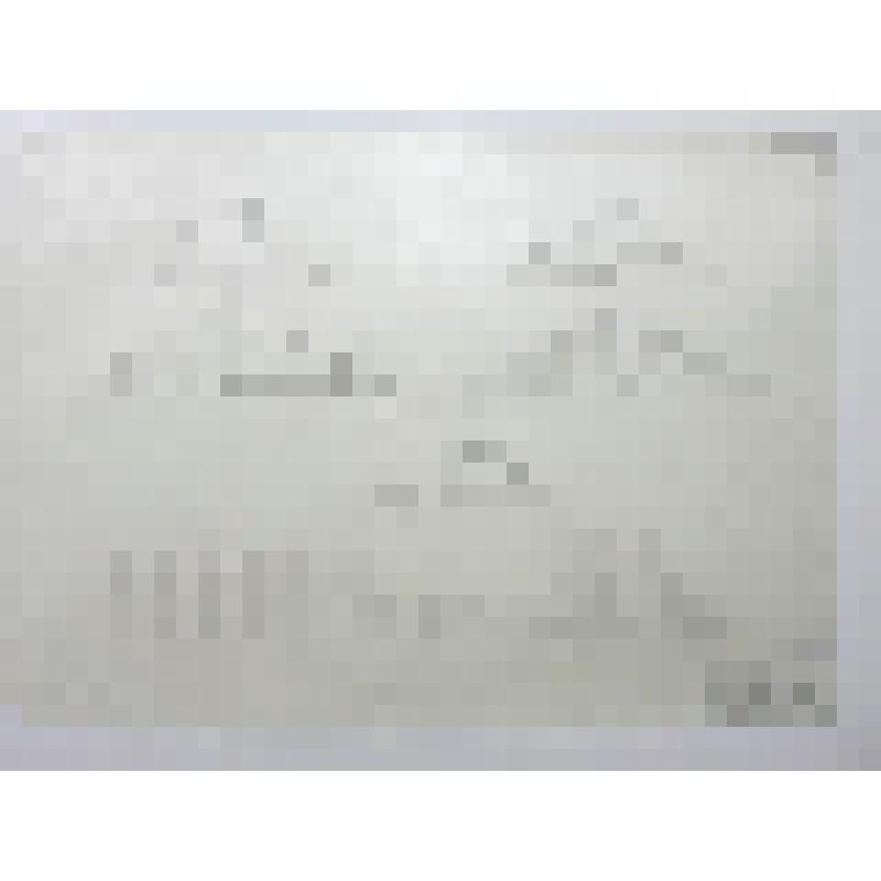 Троицкая церковь. Ново-Голутвин монастырь. ХVII-ХIХвв. 1705г. г.Коломна. Ново-Голутвин монастырь. Церковь Троицы. Стропильная конструкция. Фасады и разрезы. Проект реставрации