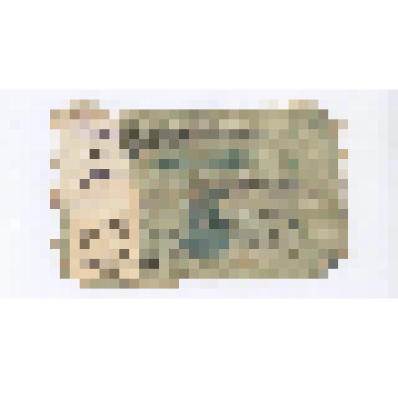 Чек разменный на 5 рублей